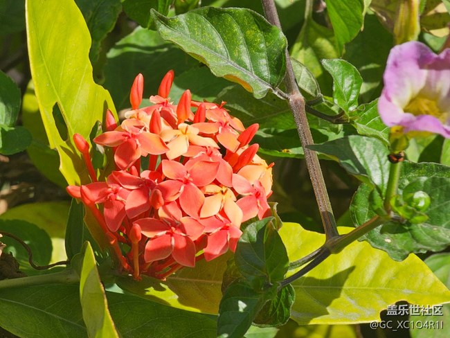 【簡而美】上午戶外游