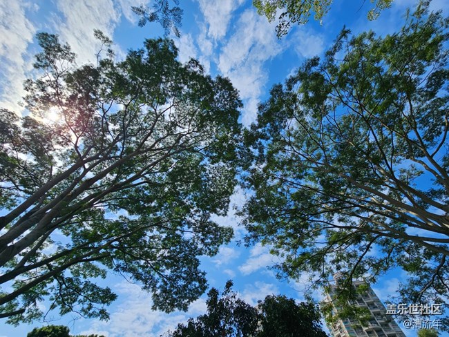 【落葉成詩】公園