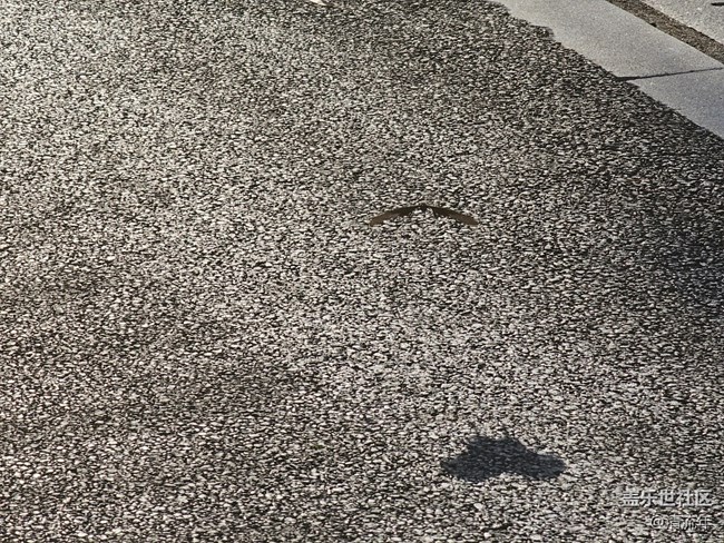 【簡而美】簡單的一天