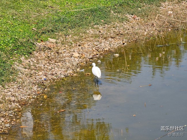【尋找生活中的溫暖】溫暖瞬間