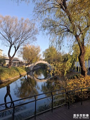 【拍有意境】公園散步