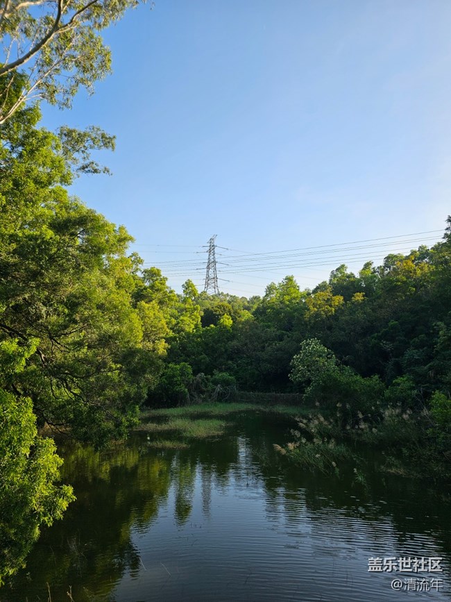 【簡而美】水中美