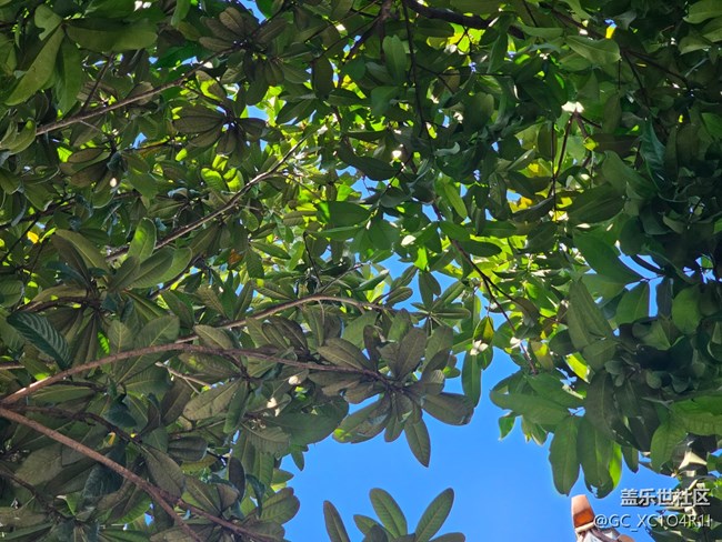 【簡(jiǎn)而美】生活痕跡