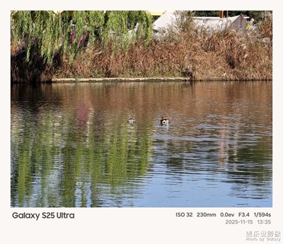 【拍有意境】+鴛鴦戲水
