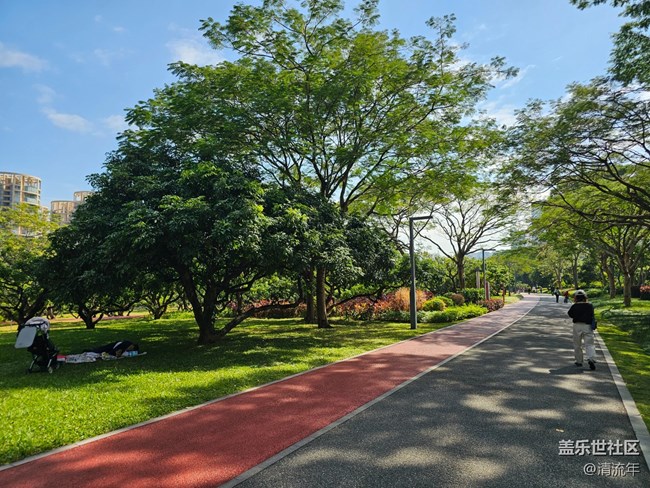 【落葉成詩】公園