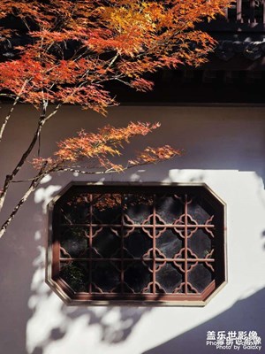 秋水共長天一色，踩一下