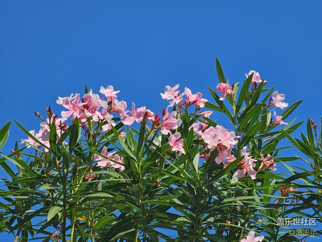 【簡而美】平淡