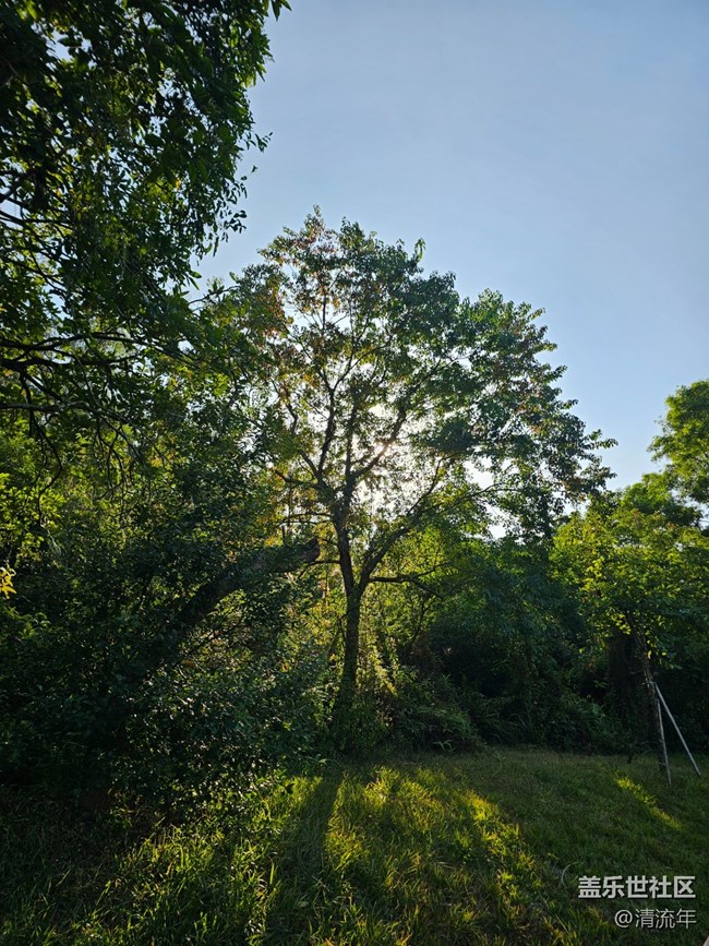 【簡而美】簡單的一天