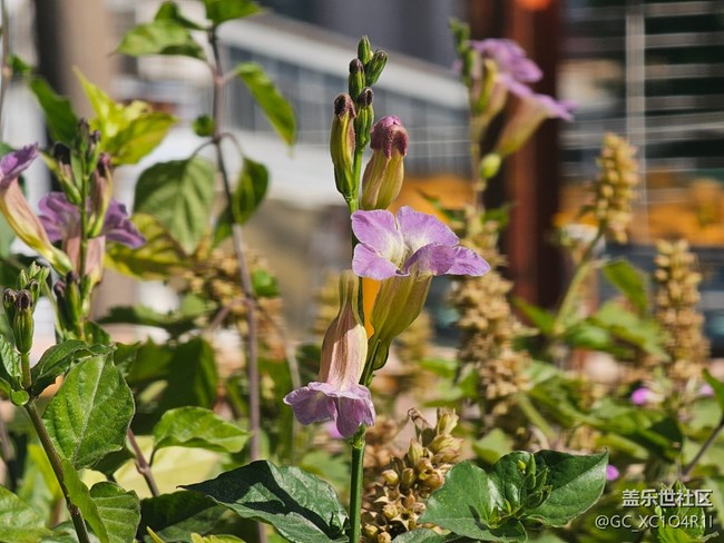 【簡而美】上午戶外游