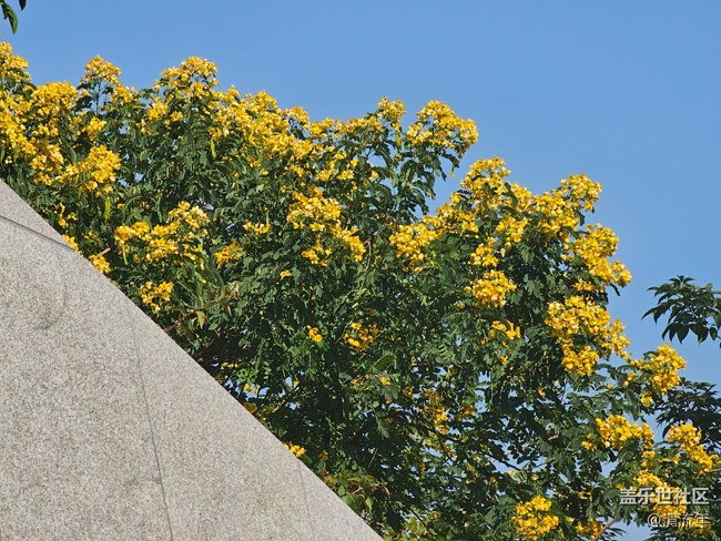 【簡而美】平淡