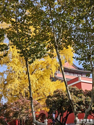 【拍有意境】秋日風(fēng)景