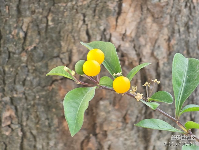 【簡(jiǎn)而美】生活痕跡