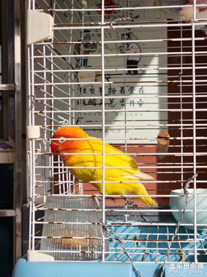 【拍有意境】+多彩童年