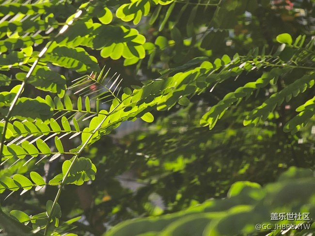 【簡而美】假日