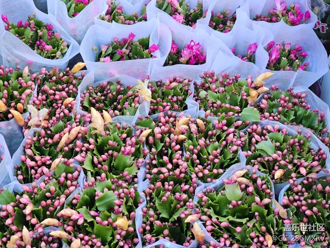 【簡(jiǎn)而美】簡(jiǎn)簡(jiǎn)單單