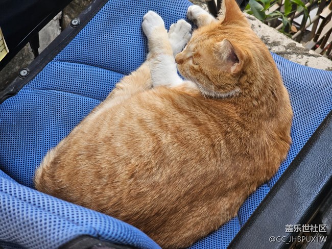 【簡而美】街道