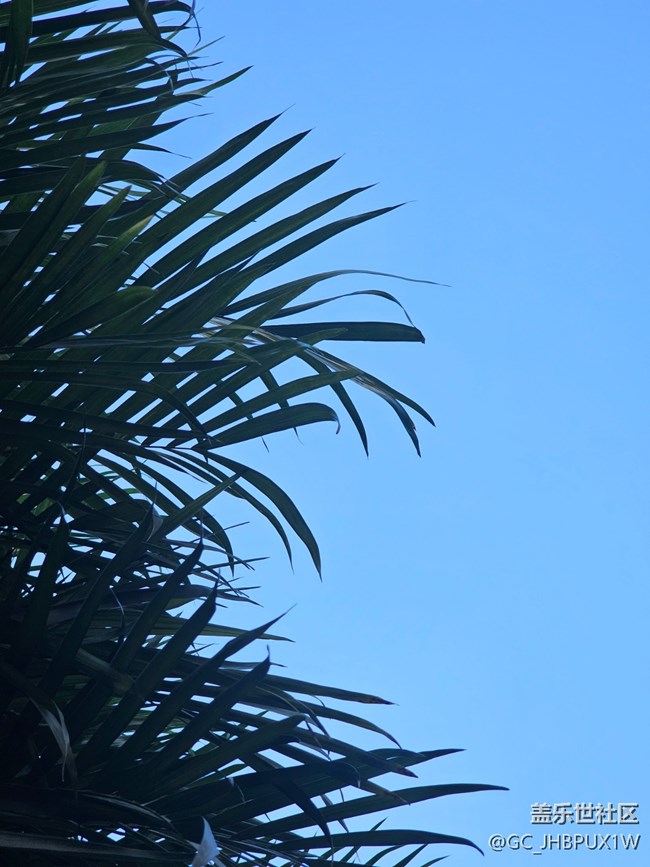 【簡而美】日常