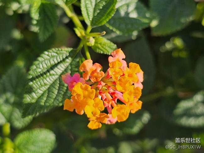 【簡而美】日常