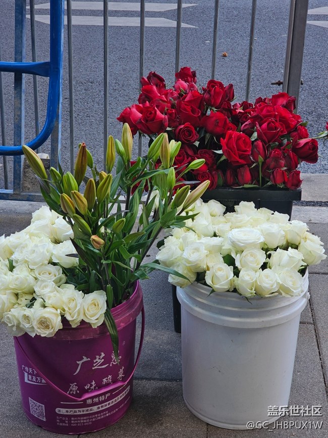 【簡而美】街道