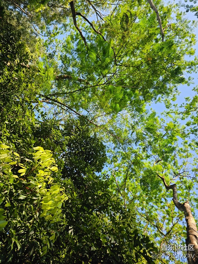 【簡而美】綠色