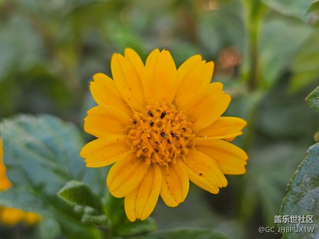 【簡而美】日常