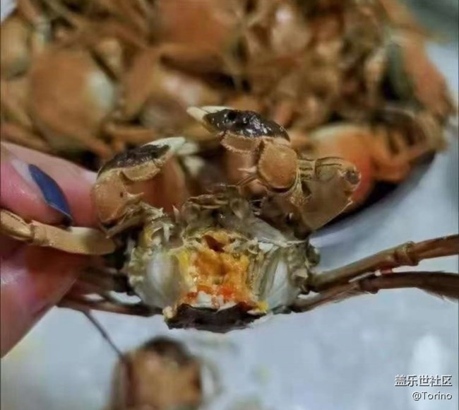 【寒日臻味】小毛蟹