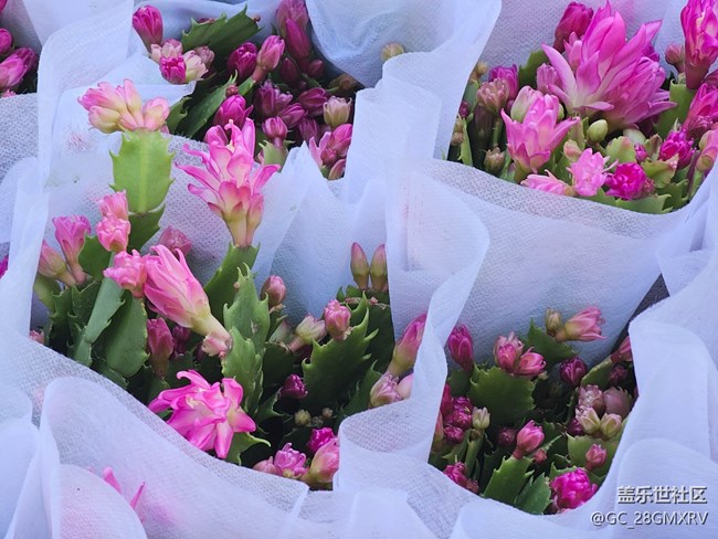 【簡(jiǎn)而美】簡(jiǎn)簡(jiǎn)單單