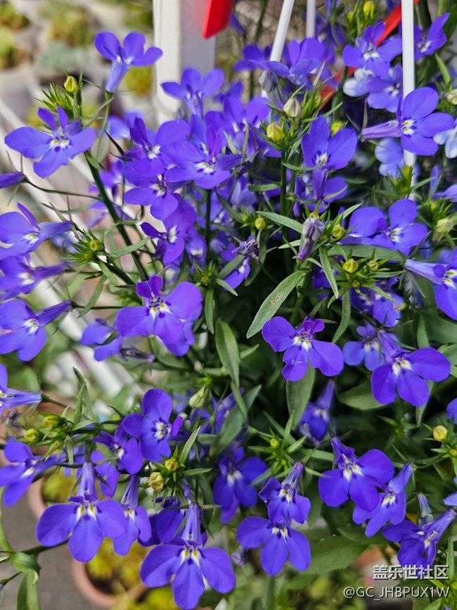 【簡而美】假日