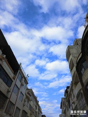 【拍有意境】+生活小確幸