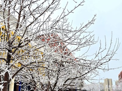 【拍有意境】+霧凇冰尖