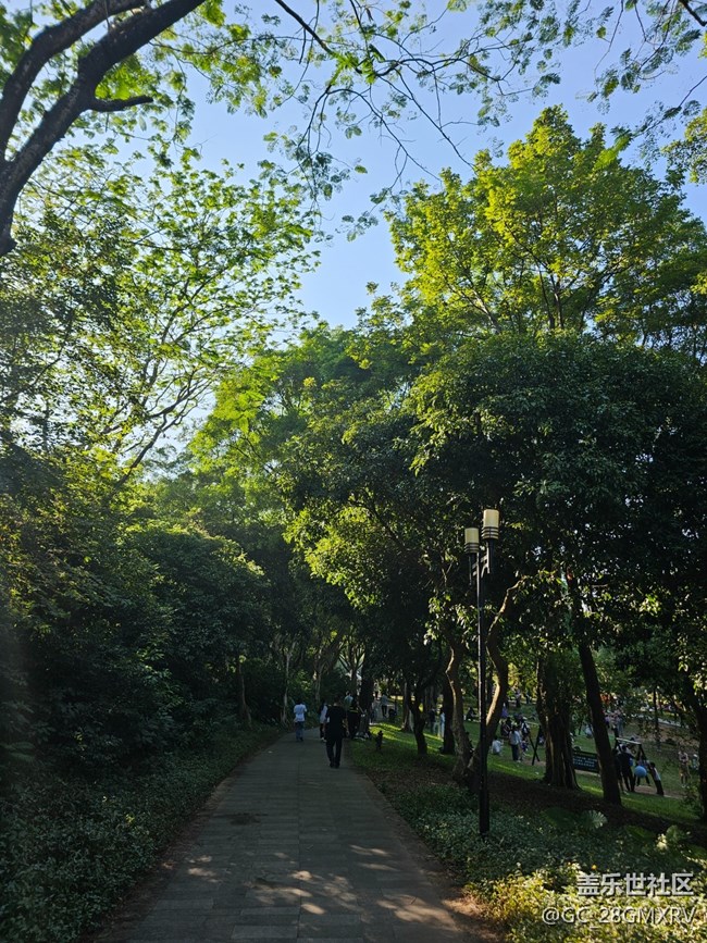 【簡而美】綠色