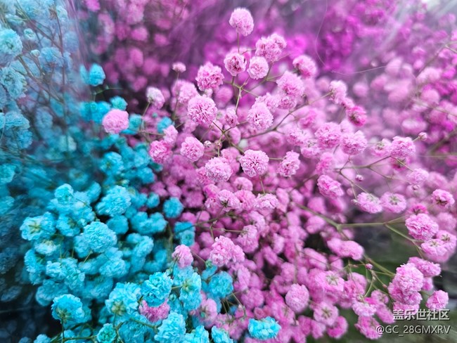 【簡而美】花花世界