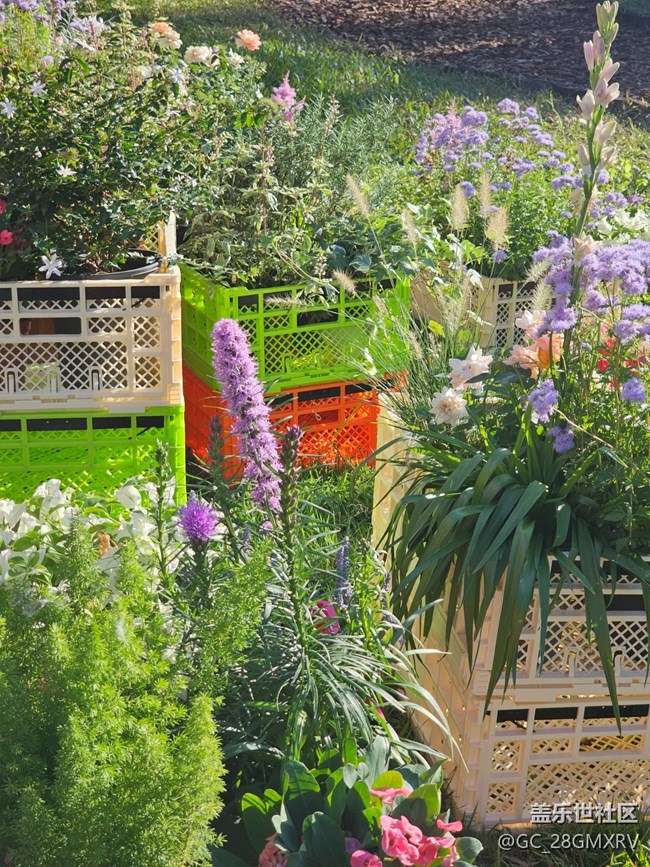 【簡而美】花花世界