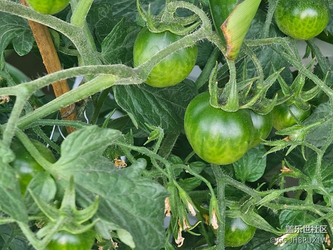 【簡而美】假日