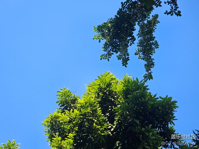 【簡而美】日常