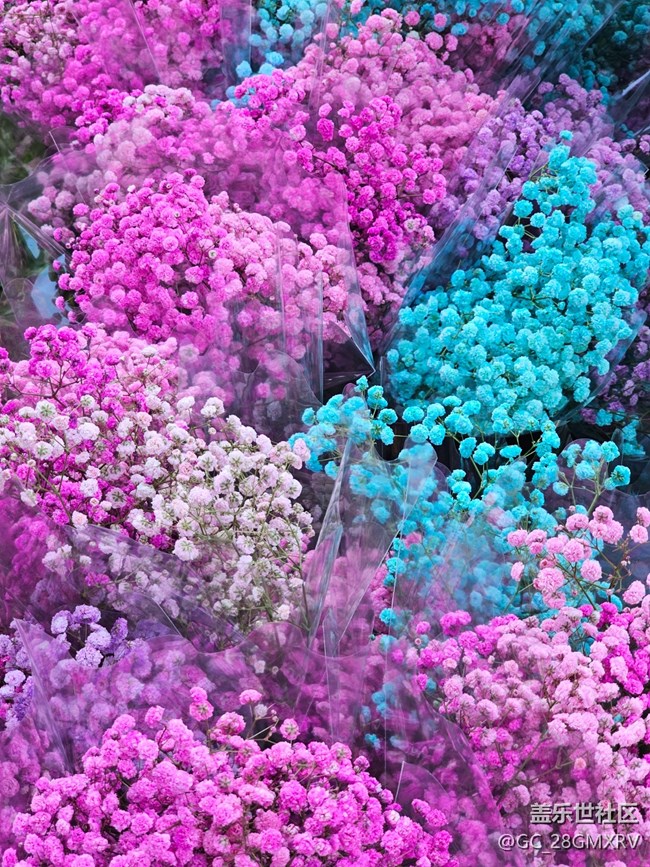 【簡而美】花花世界