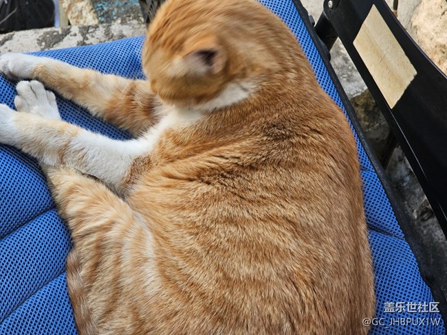 【簡而美】街道