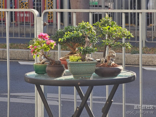 【簡而美】街道