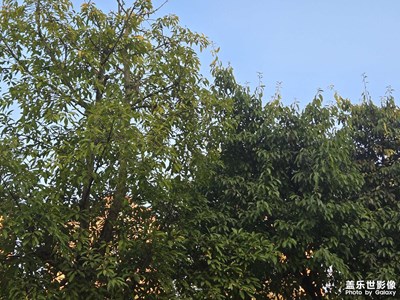 【拍有意境】+陽光