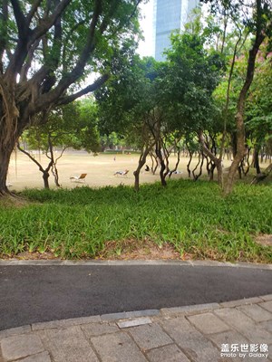 【拍有意境】中心公園