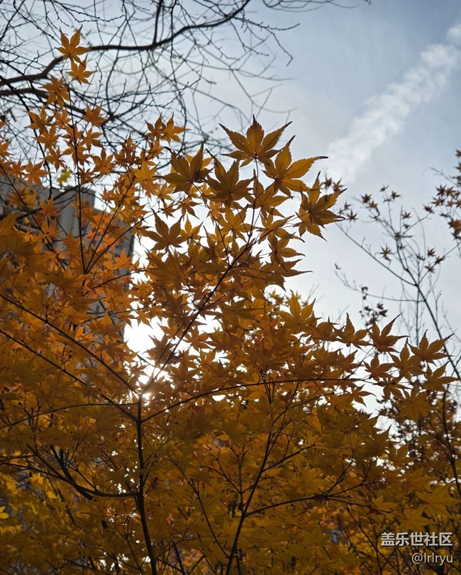 【瞬間】秋日余味