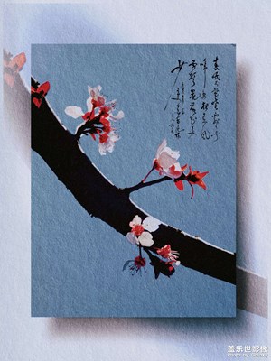 若你決定燦爛，山無遮，海無攔。