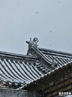 【拍有意境】初雪