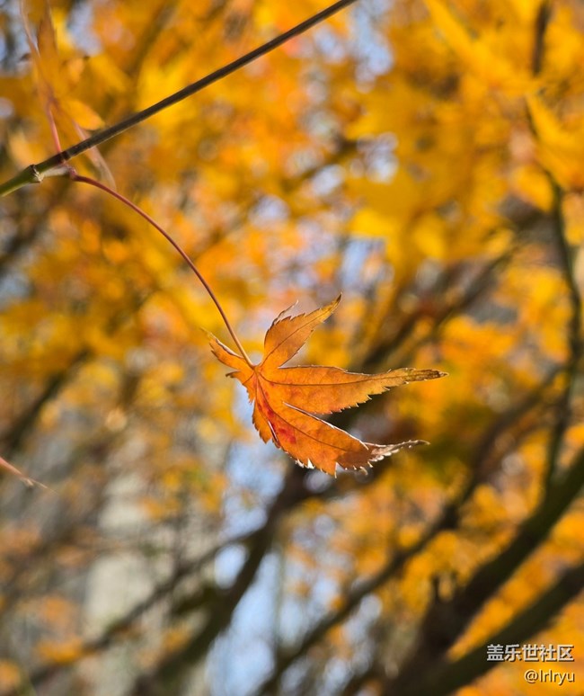 【瞬間】秋日余味