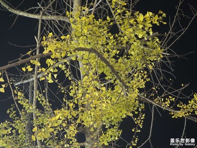 【拍有意境】時(shí)光流轉(zhuǎn)