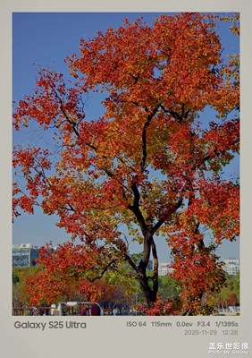 初冬的遠(yuǎn)香湖