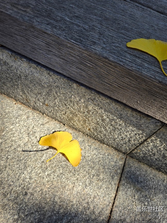 【瞬間】秋日余味