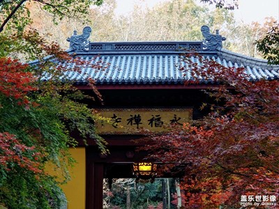 【拍有意境】秋日永福，于錢塘福地尋一份清靜