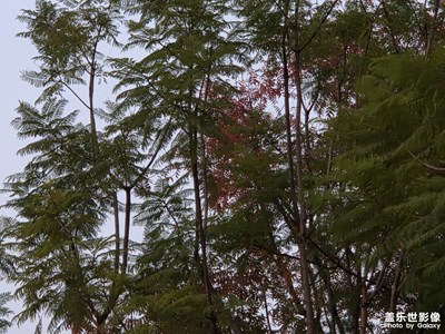 【拍有意境】+凝固的時(shí)間