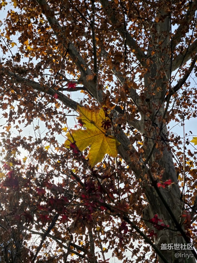 【瞬間】秋日余味